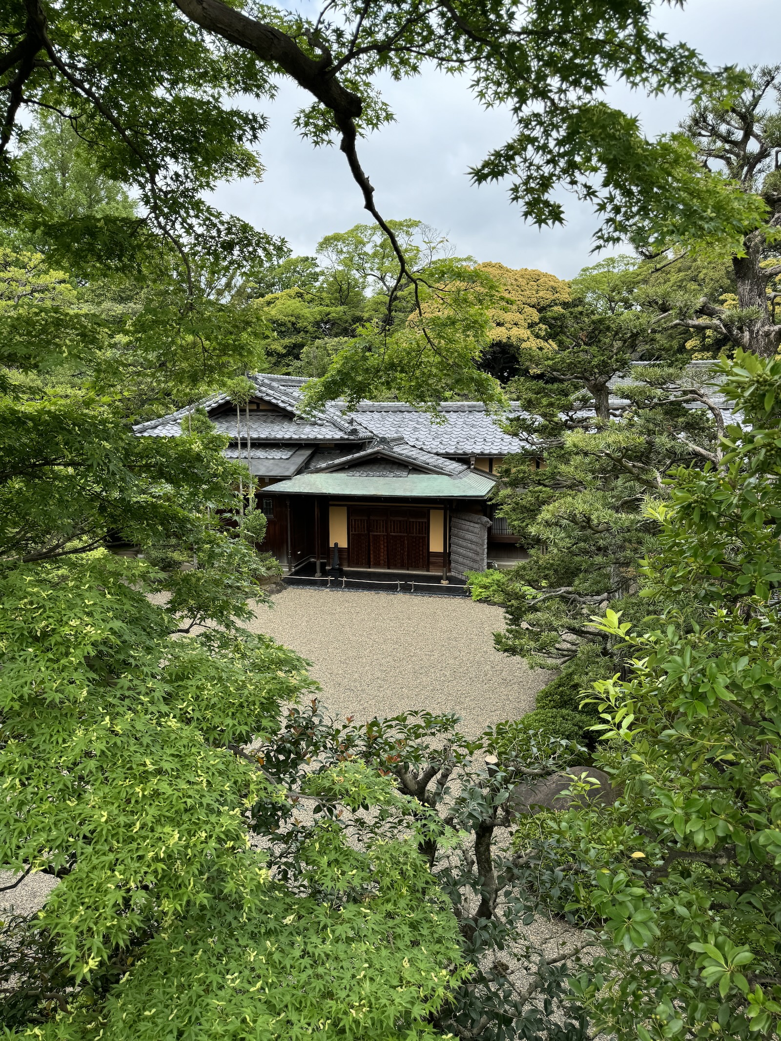 20240508門長屋の上から撮影