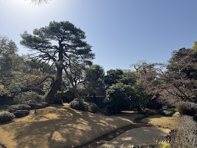 主人室食堂前庭Kazoku no
          niwa